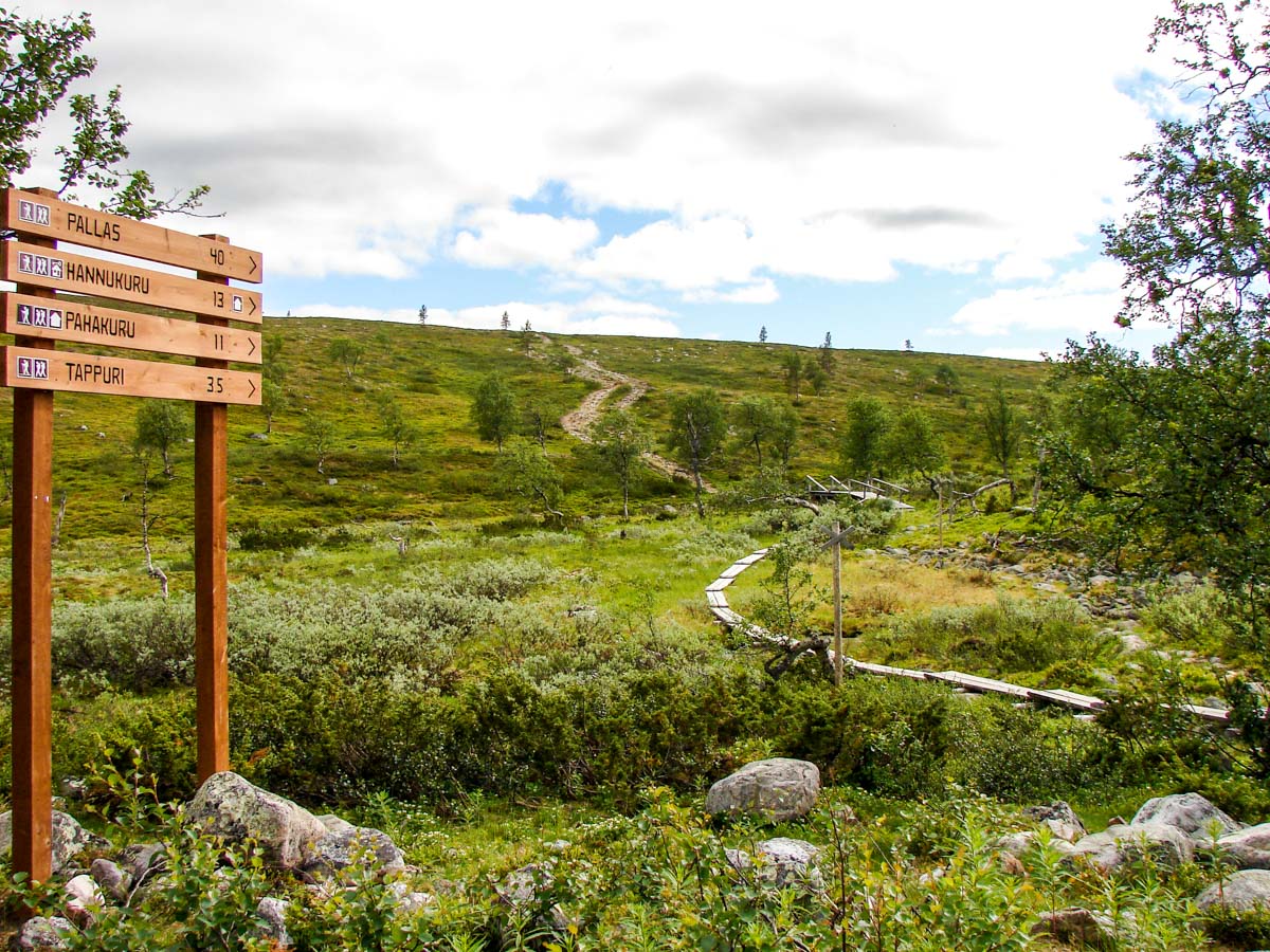 maked hiking trail in Finland