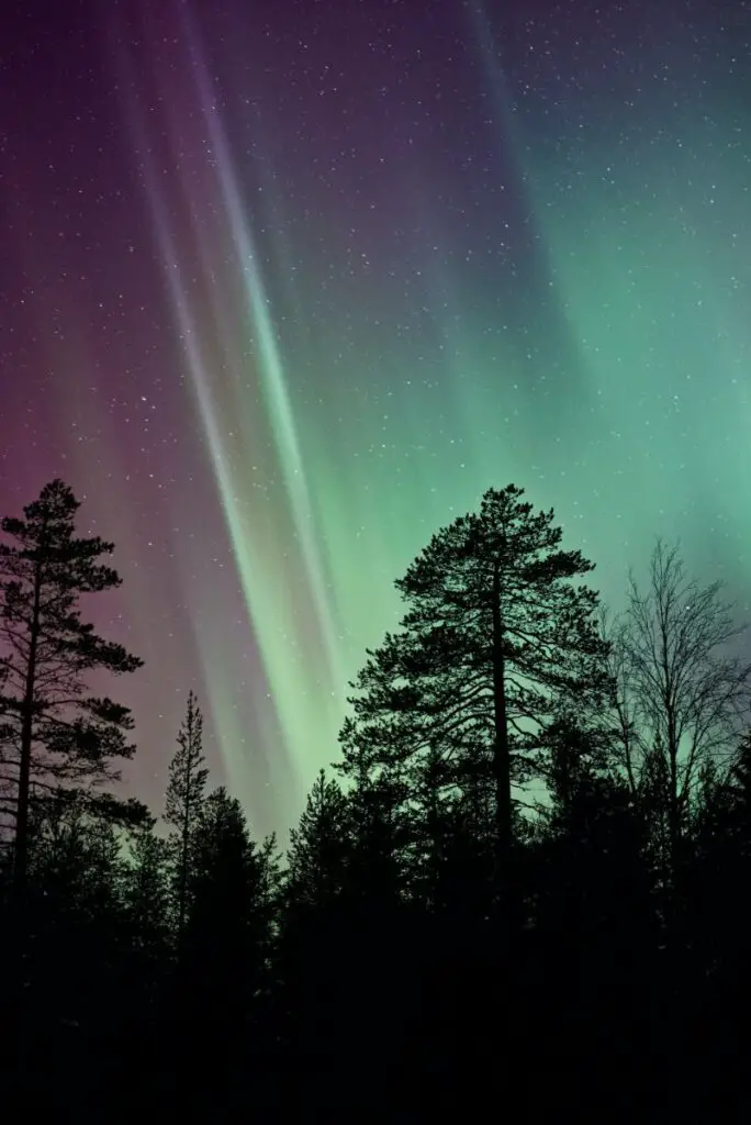 northern lights in lapland in winter