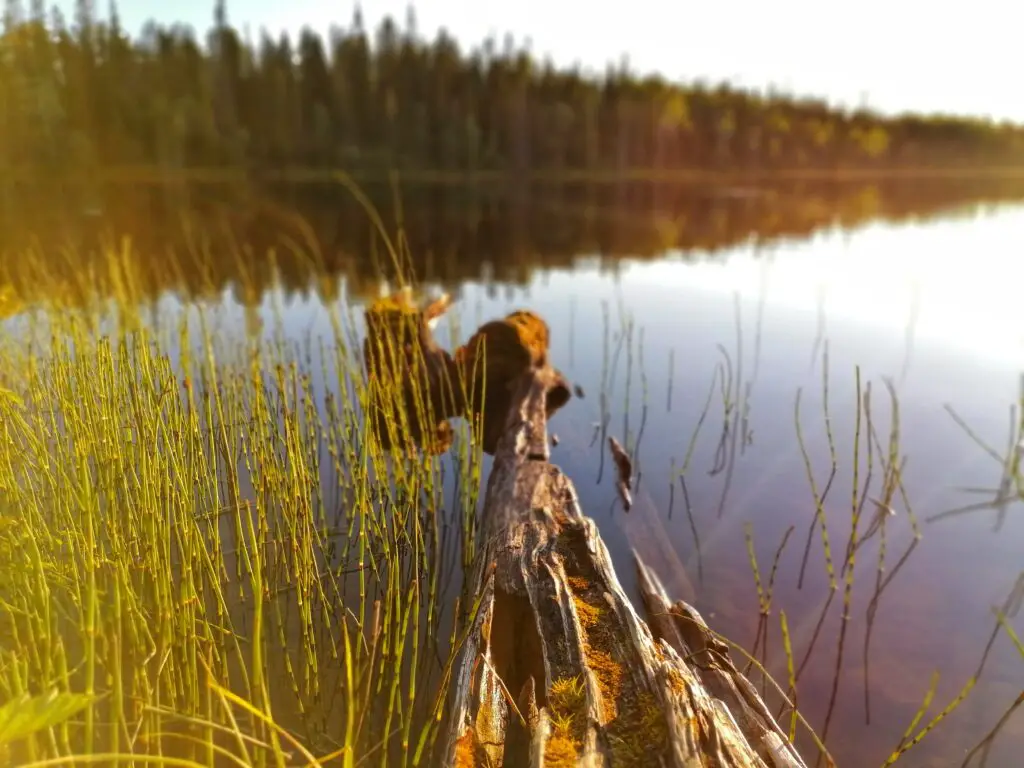 lake near Jussinkämppä