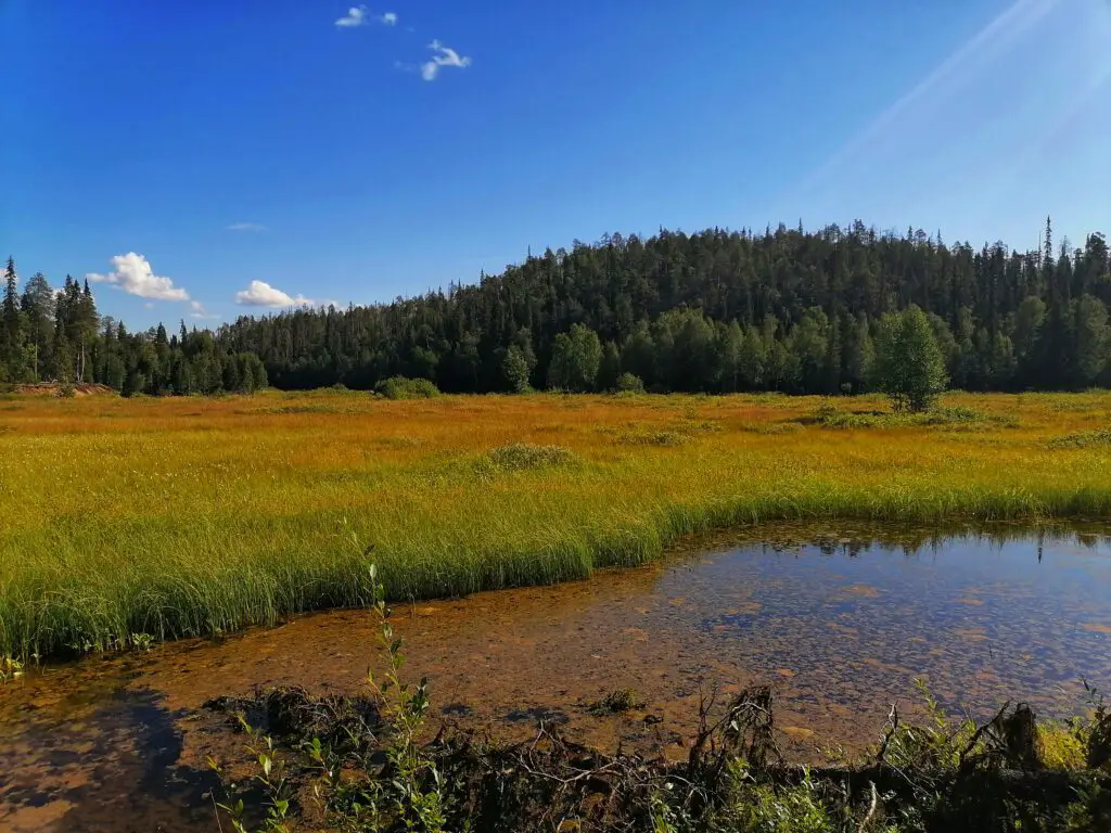 Walking along Kitkajoki