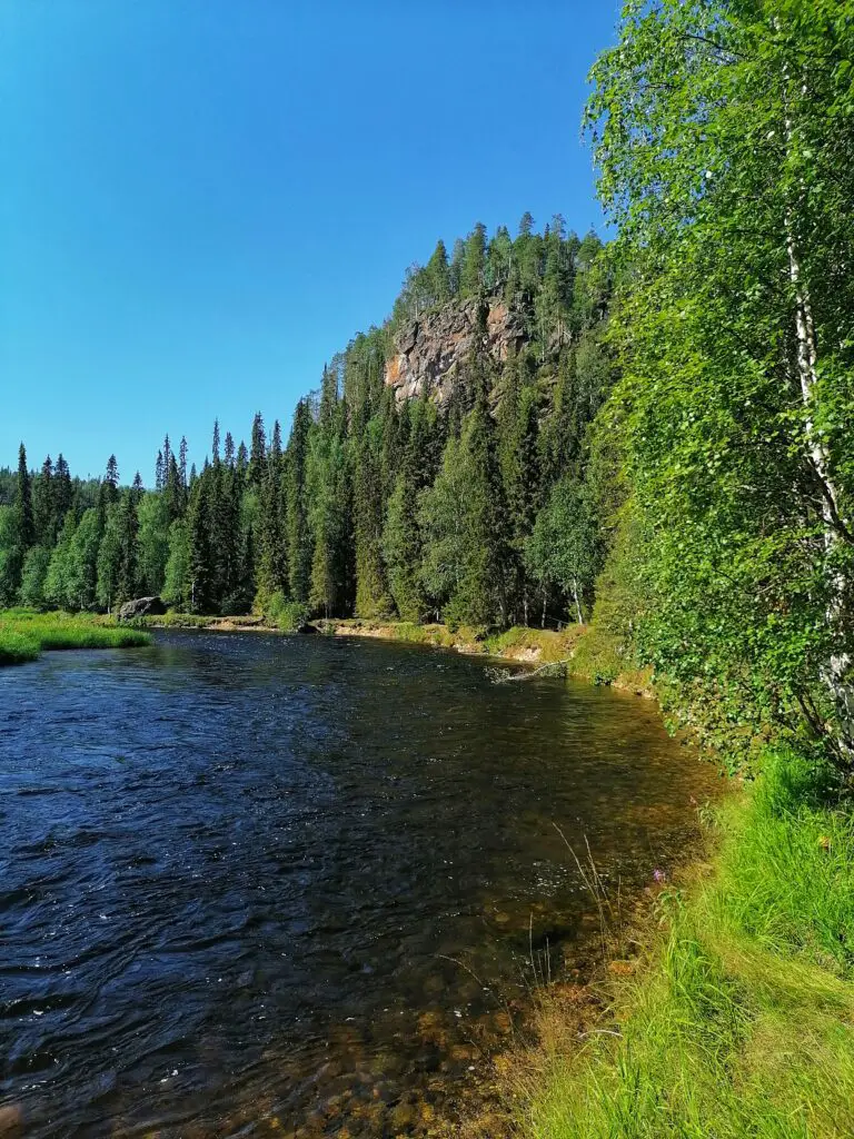 Kitkajoki Oulangan kansallispuitso