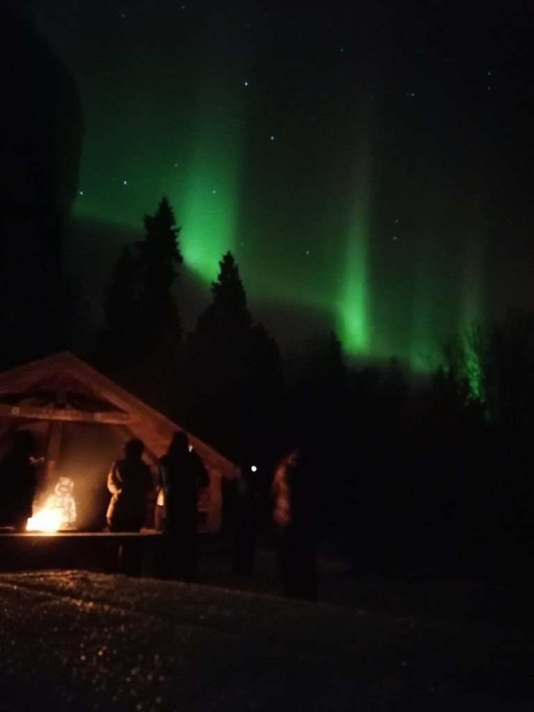 aurora borealis - northern lights in Rovaniemi, Lapland