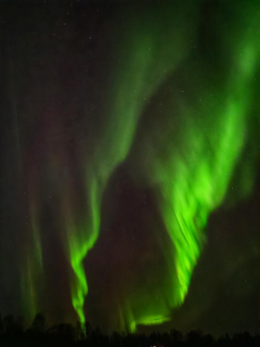 aurora borealis - northern lights in Rovaniemi, Lapland