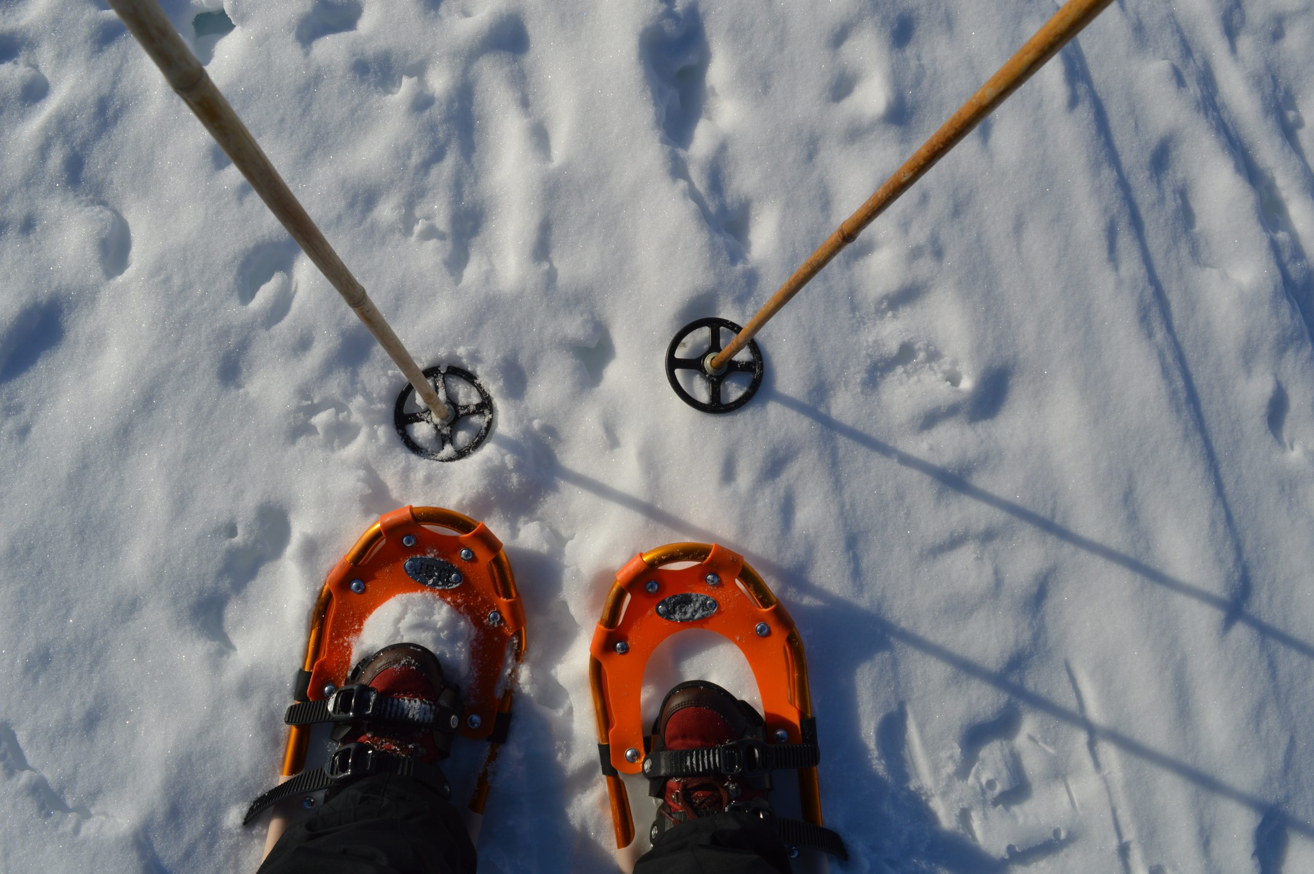 snowshoeing trip in Rovaniemi