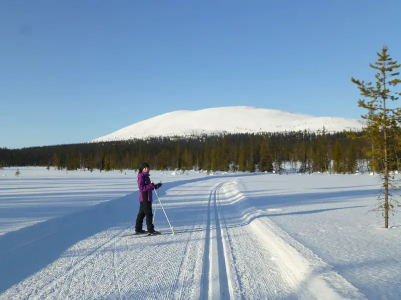 cross country skiing in Pallas