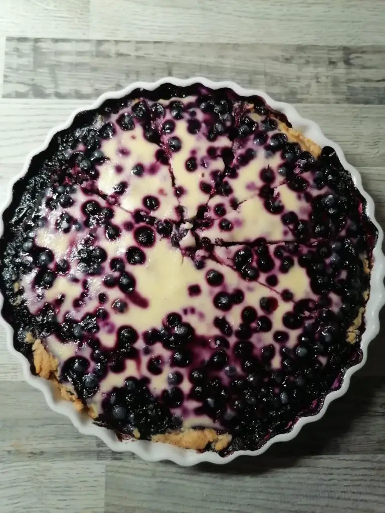 Finnish blueberry pie - traditional finnish food